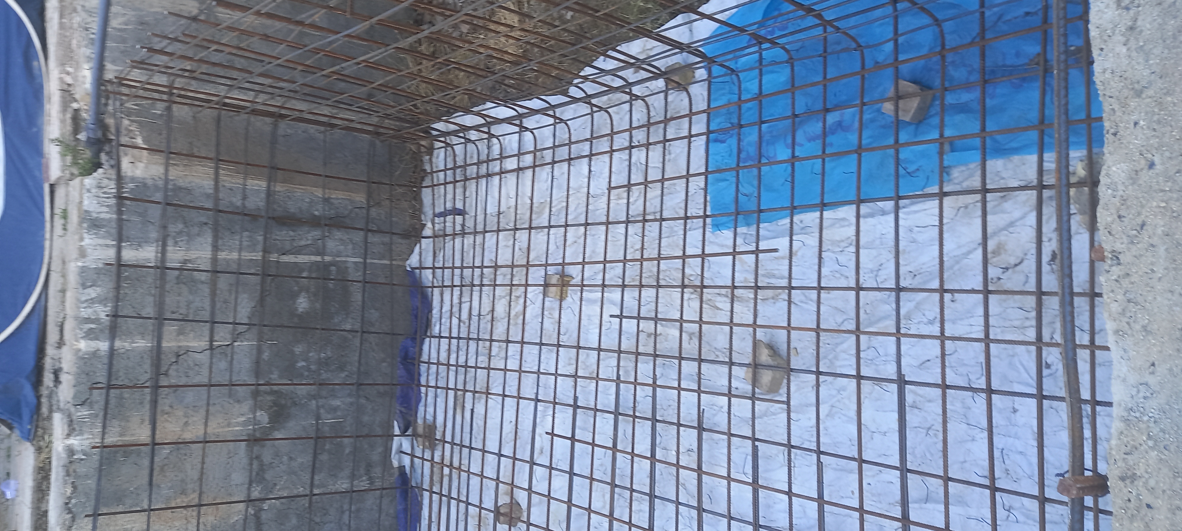 طراحی و اجرای انواع سازه های بتی(پدستال،پایپینگ،کولینگ،مخازن شیمیایی،مخازن اب،ساب استیشن،کنترل روم دیوار حائل،سازه های نیروگاهی acc,stgو انواع پله های بتنی روز صفر تا صد با اکیپ مجرب در اسرع وقت طبق نقشه انجام میشود